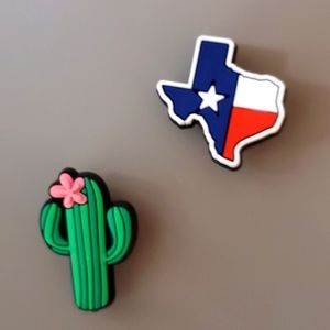 Cactus and Texas croc charm